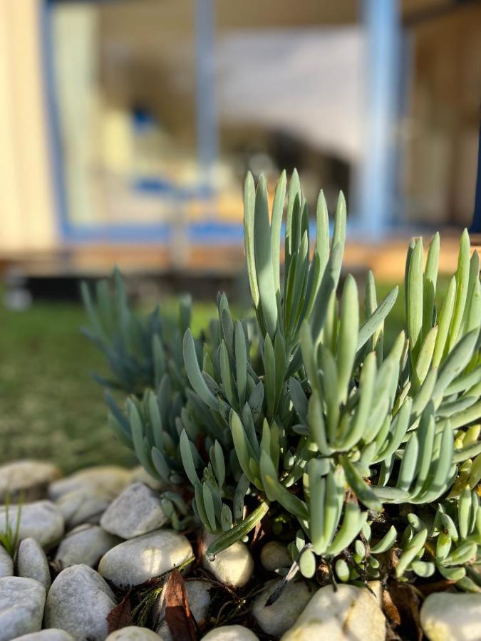 * Le Hameau De La Plage * Étables Exteriör bild